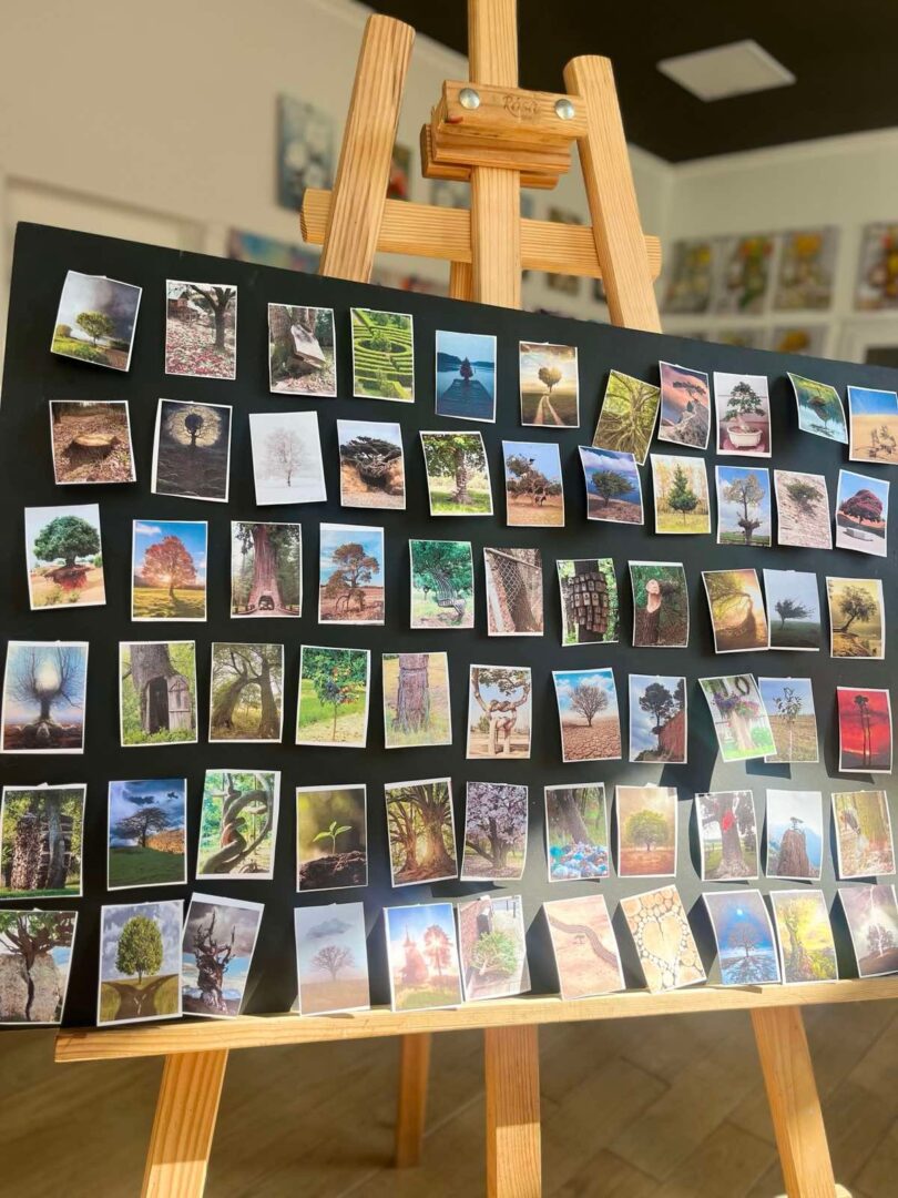 lshchzhot - У Надвірній провели арттерапію для військових - rai.ua