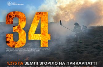 За минулу добу рятувальники ліквідували 34 пожежі в екосистемах області