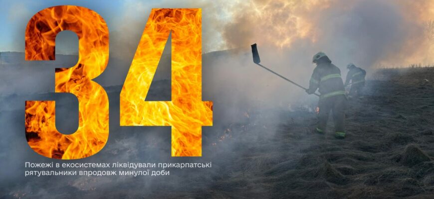 За минулу добу рятувальники ліквідували 34 пожежі в екосистемах області