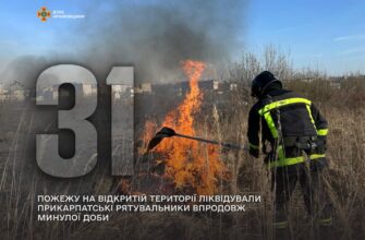 На Прикарпатті почастішали пожежі в природних екосистемах