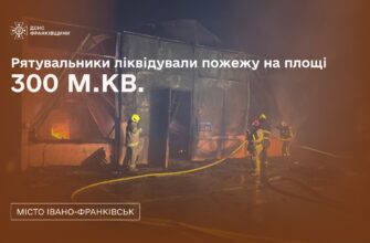 На вулиці Ребета трапилась пожежа на площі 300 м²