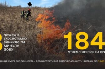 Не паліть суху траву: рятувальники попереджають про небезпеку та штрафи