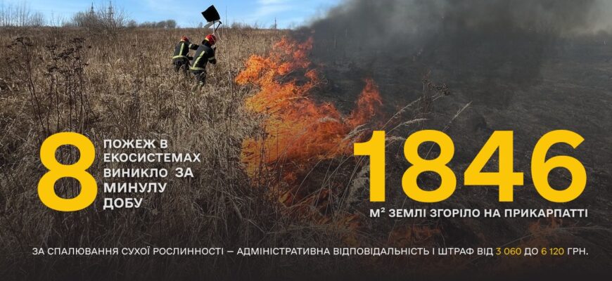 Не паліть суху траву: рятувальники попереджають про небезпеку та штрафи