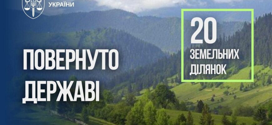 Столітній ліс біля Буковелю хотіли забудувати: прокуратура повернула 20 ділянок державі