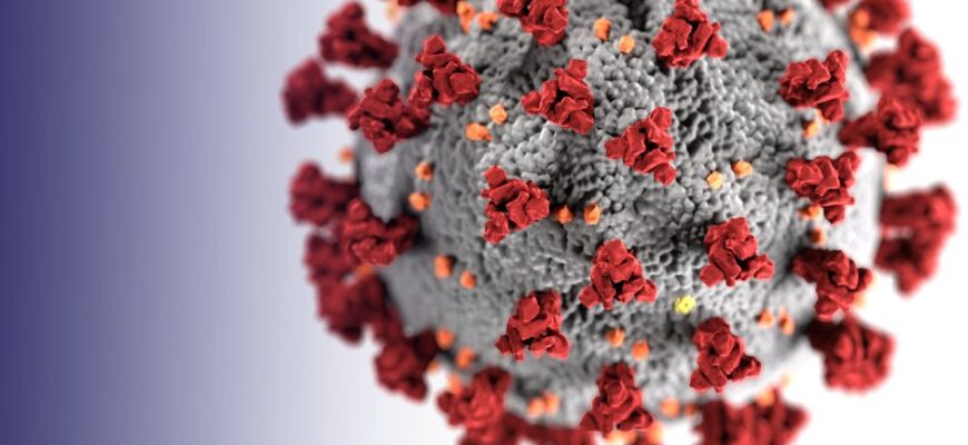 Профілактика кору: важливі аспекти захисту від небезпечного захворювання