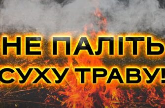 41 пожежа в екосистемах за добу: вигоріло 3 гектари землі