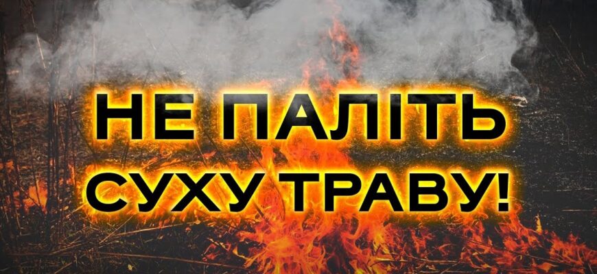 41 пожежа в екосистемах за добу: вигоріло 3 гектари землі