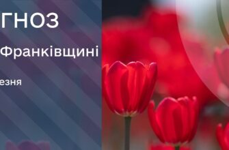 Прогноз погоди на 10 березня 2026 року