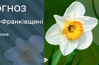 Прогноз погоди на 3 березня 2026 року