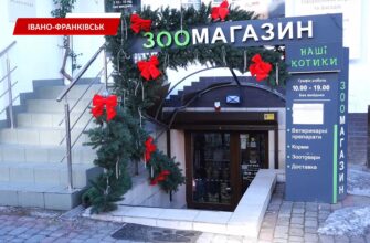 yrmd - Як розвивається програма «Перезавантаження»: реальні історії успіху. Відео - rai.ua