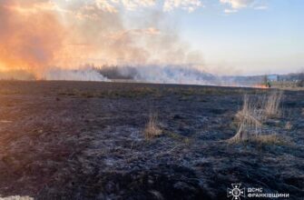 За добу вогнеборці ліквідували 32 пожежі в природних екосистемах