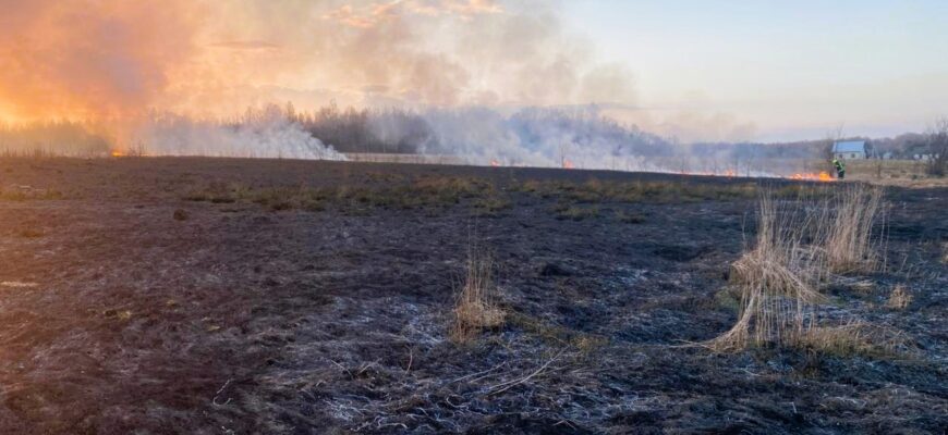 За добу вогнеборці ліквідували 32 пожежі в природних екосистемах