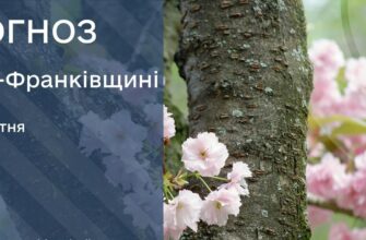 Прогноз погоди на 24 квітня 2026