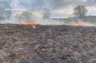 Упродовж вихідних рятувальники ліквідували 23 займання сухої трави