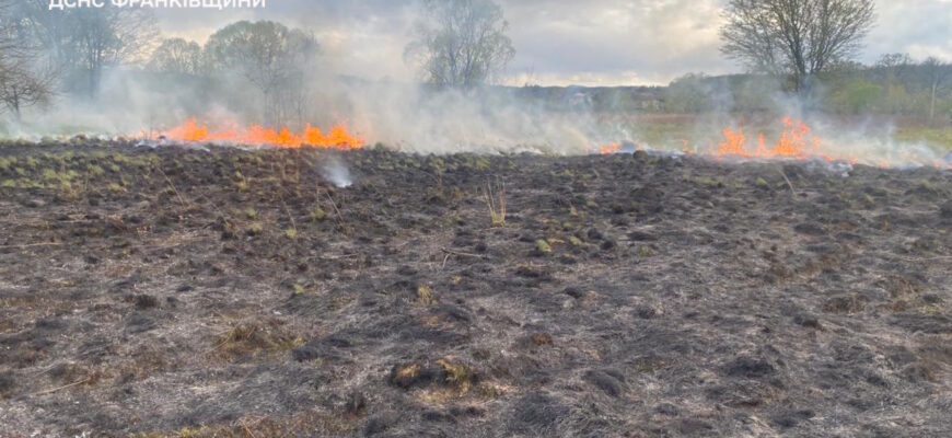 Упродовж вихідних рятувальники ліквідували 23 займання сухої трави