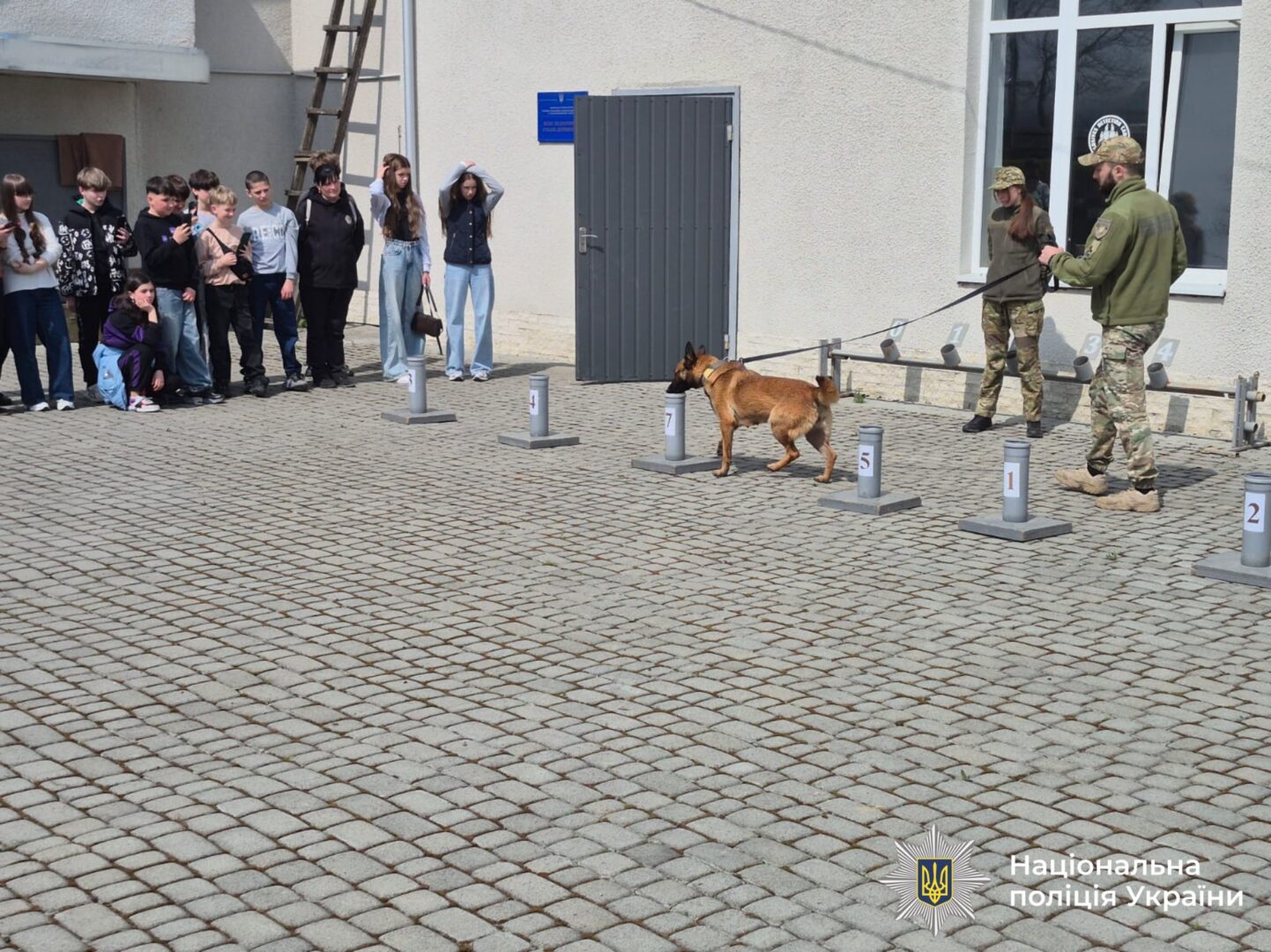 chsarcho - Ліцеїсти Калуша побачили роботу кінологічного центру поліції Прикарпаття - rai.ua
