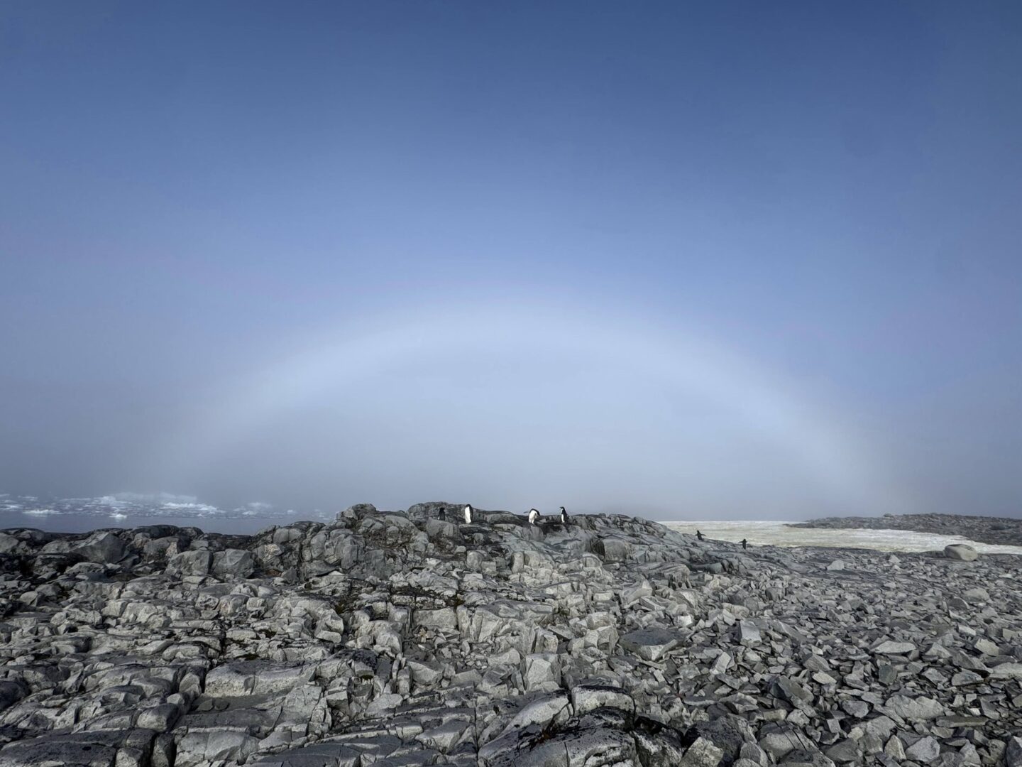diutl - Веселка буває не лише різнокольоровою, а й білою - rai.ua