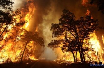 Рятувальники попереджають про пожежну небезпеку