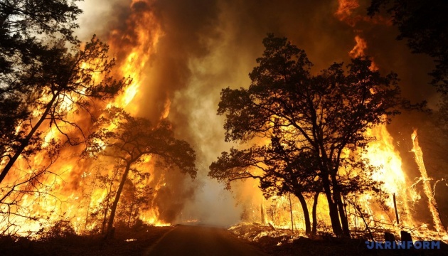 Рятувальники попереджають про пожежну небезпеку