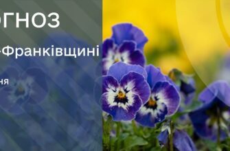 Прогноз погоди на 6 квітня 2026 року