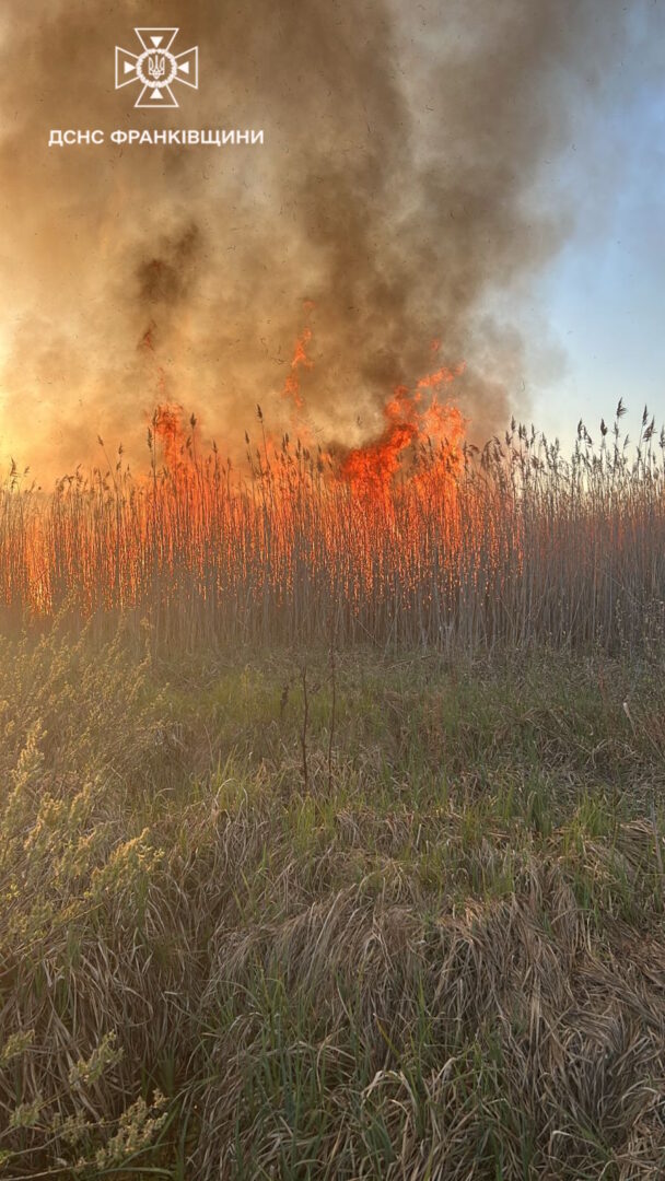 lzhrtam - Упродовж вихідних рятувальники ліквідували 23 займання сухої трави - rai.ua