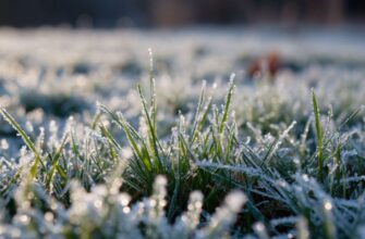 10,11 та 12 квітня очікуються сильні заморозки в повітрі 0-5º