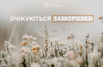 Рятувальники попереджають про заморозки
