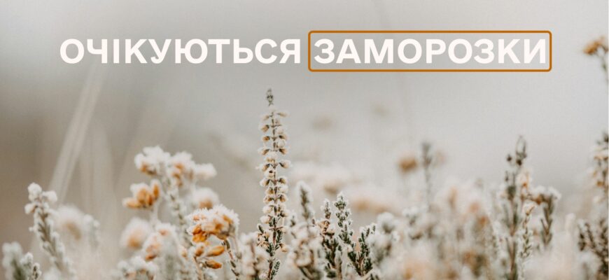 Рятувальники попереджають про заморозки