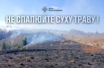 Прикарпатські вогнеборці ліквідували 27 пожеж в природних екосистемах