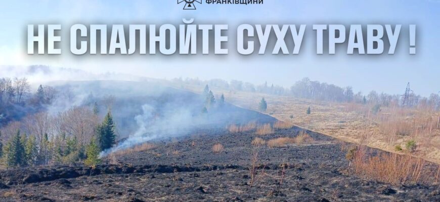 Прикарпатські вогнеборці ліквідували 27 пожеж в природних екосистемах