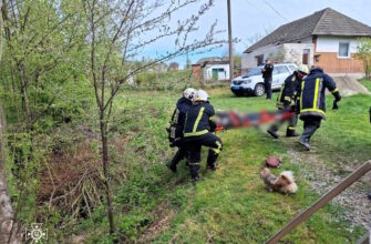 У селі Боднарів рятувальники вилучили тіло чоловіка з водойми