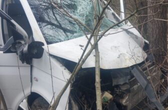 На Коломийщині водій автівки з'їхав у кювет через дику тварину