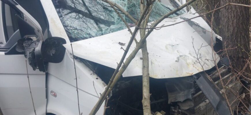 На Коломийщині водій автівки з'їхав у кювет через дику тварину