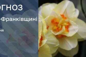 Прогноз погоди на 8 квітня 2026
