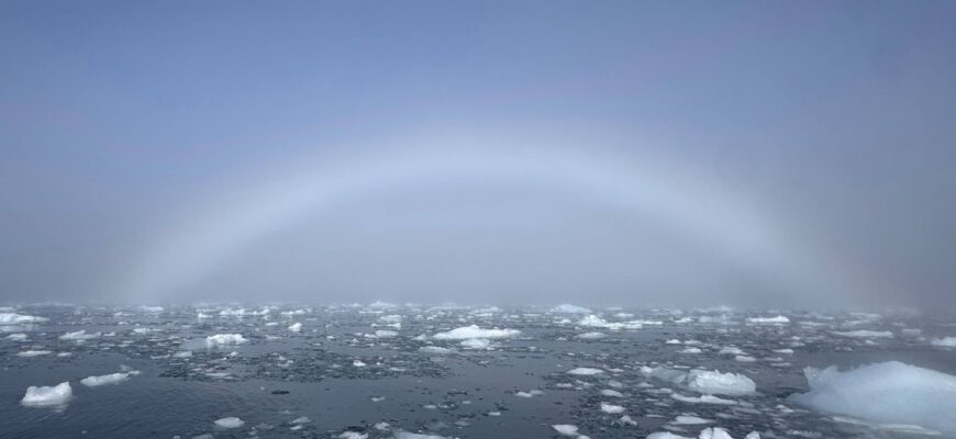 Веселка буває не лише різнокольоровою, а й білою