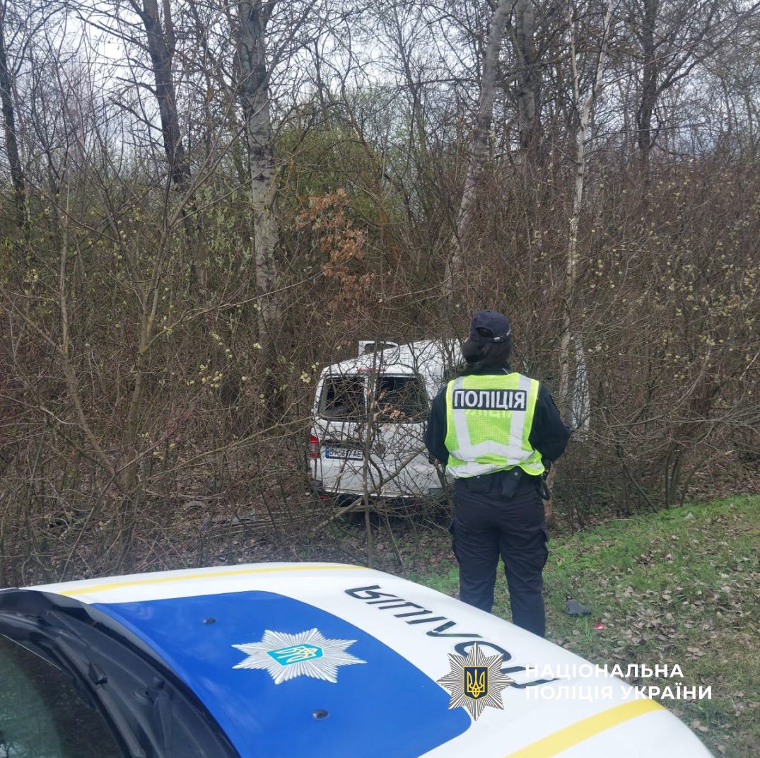 svyrvot - На Коломийщині водій автівки з'їхав у кювет через дику тварину - rai.ua