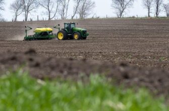 Аграрії Прикарпаття продовжують посів ранніх зернових та зернобобових культур