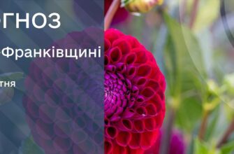 Прогноз погоди на 7 квітня 2026 року