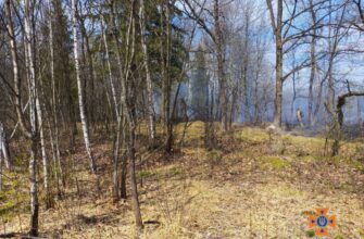 За минулі вихідні рятувальники ліквідували 19 пожеж в екосистемах