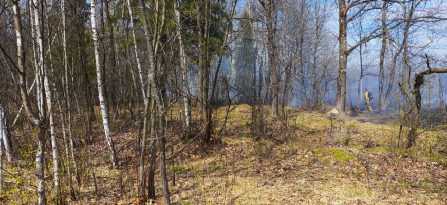 За минулі вихідні рятувальники ліквідували 19 пожеж в екосистемах