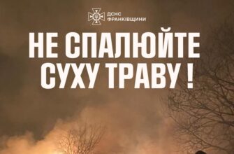 За добу рятувальники ліквідували 9 пожеж у природних екосистемах