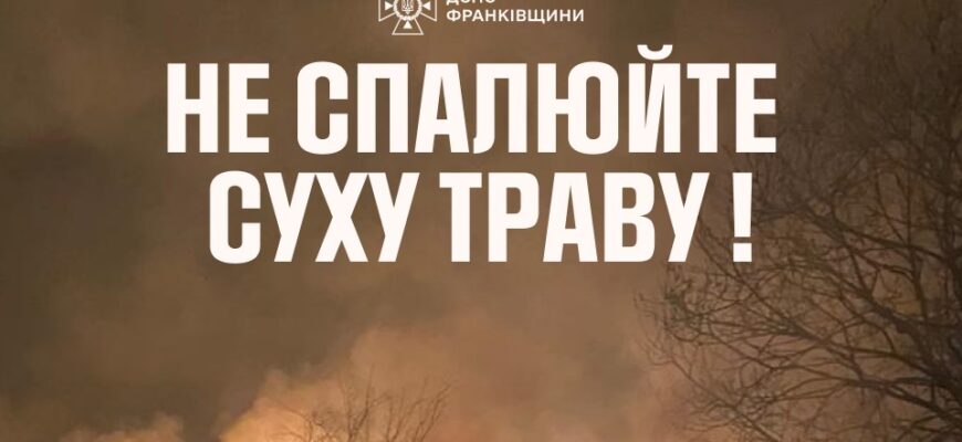 За добу рятувальники ліквідували 9 пожеж у природних екосистемах