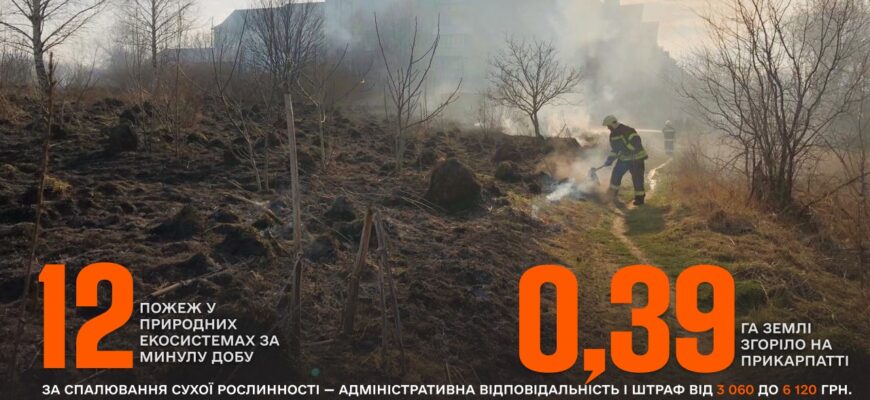 ttrrr e1776326300362 - За добу рятувальники ліквідували 12 пожеж в екосистемах - rai.ua