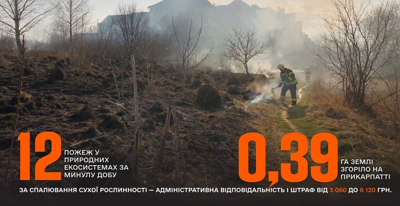 https://rai.ua/novyny/za-dobu-riatuvalnyky-likviduvaly-12-pozhezh-v-ekosystemakh