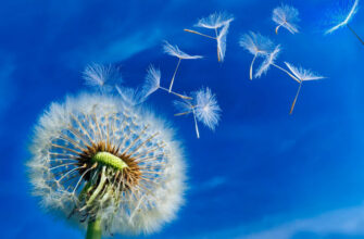 Синоптики: 23 квітня очікуються пориви вітру