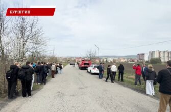 Мешканці Бурштина взялися за лопати та саджанці, щоб прикрасити свою громаду. Відео