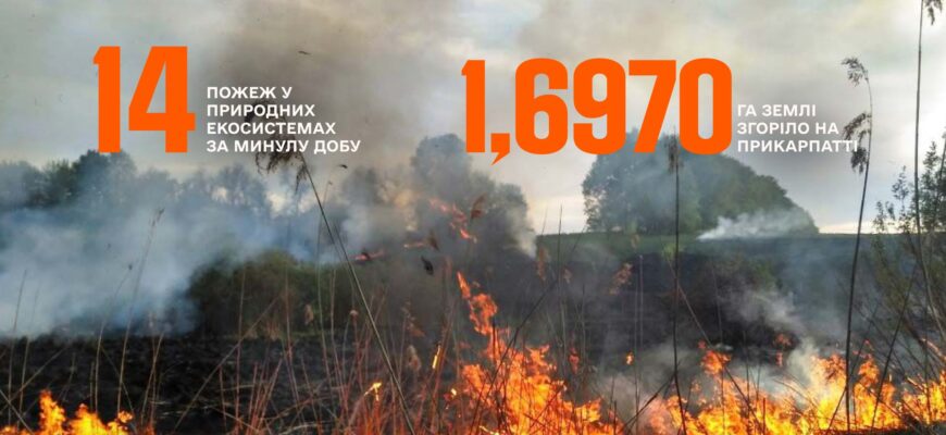 Протягом однієї доби рятувальники ліквідували 18 пожеж