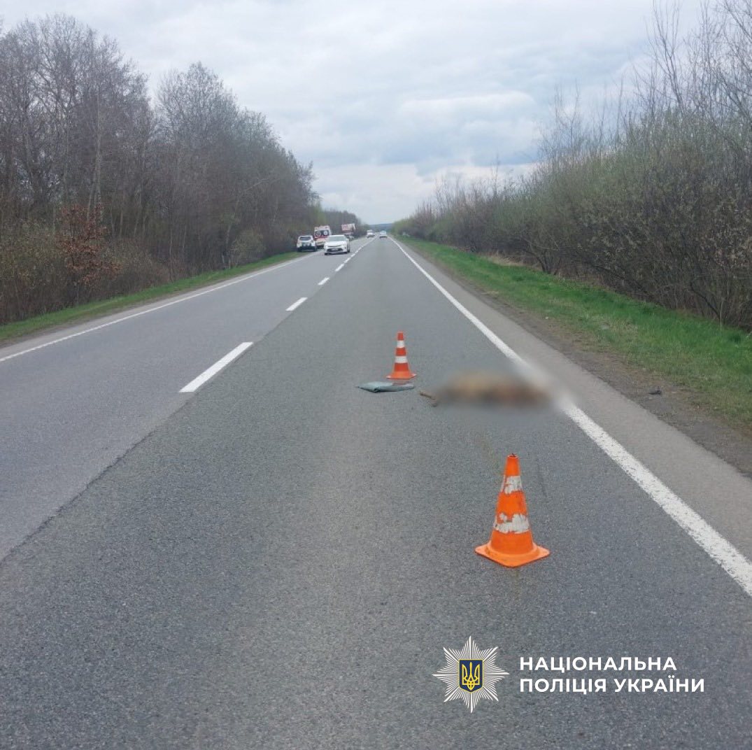 yroml - На Коломийщині водій автівки з'їхав у кювет через дику тварину - rai.ua