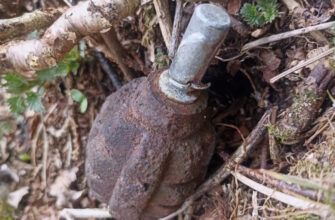 У Верховинській громаді на відкритій території виявили ручну гранату