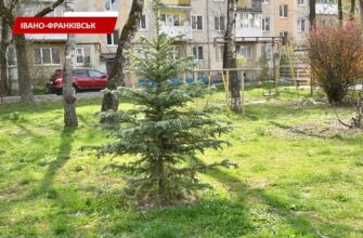 В Івано-Франківську провели акцію «Отримай саджанець - посади дерево». Відео